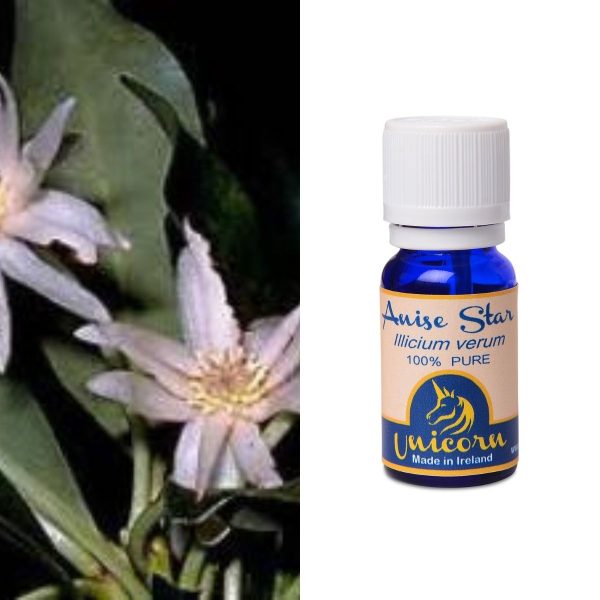 Anise Star