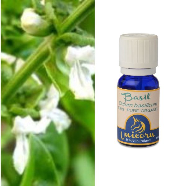 Basil Organic