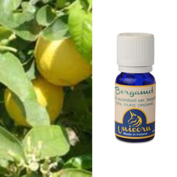 Bergamot Organic