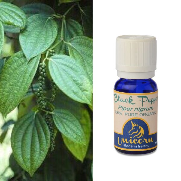 Black Pepper Organic