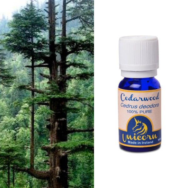 Cedarwood