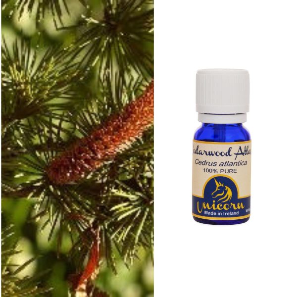 Cedarwood Atlas