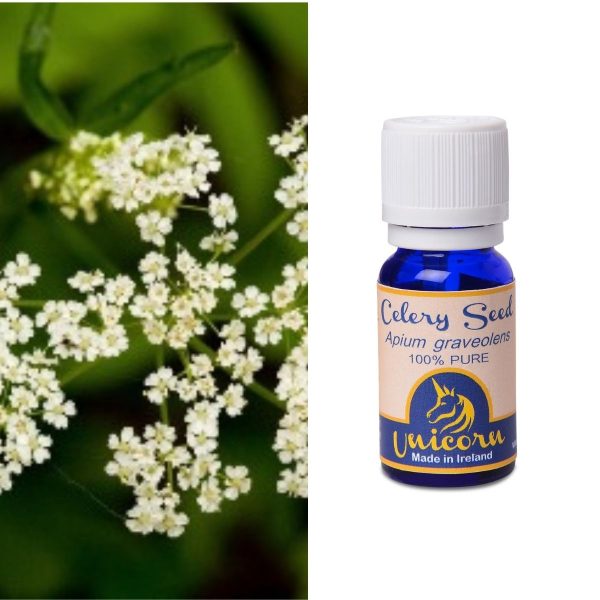 Celery Seed