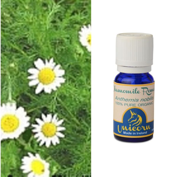 Chamomile Roman Organic