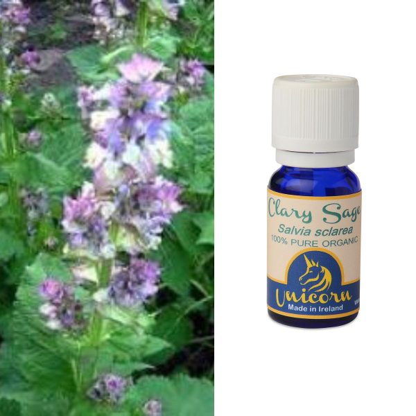 Clary Sage Organic