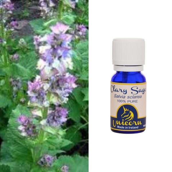 Clary Sage