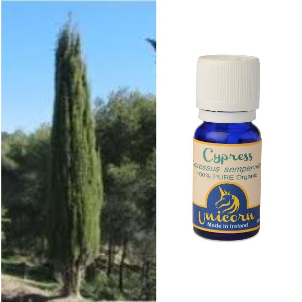 Cypress Organic