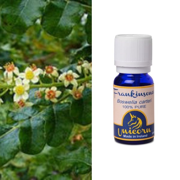 Frankincense