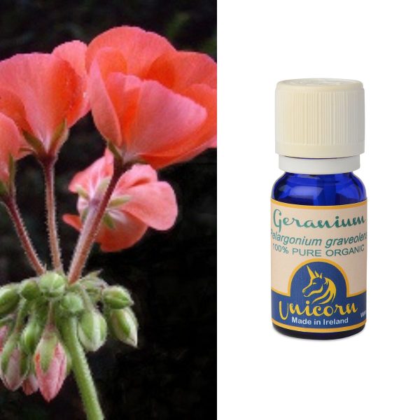 Geranium Organic