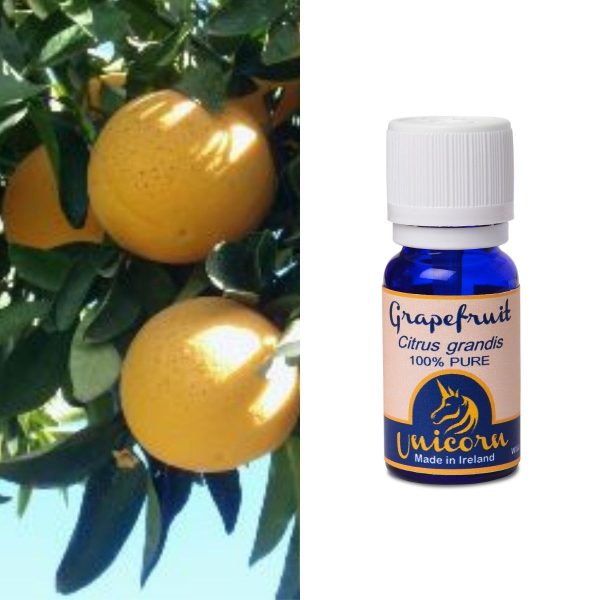 Grapefruit