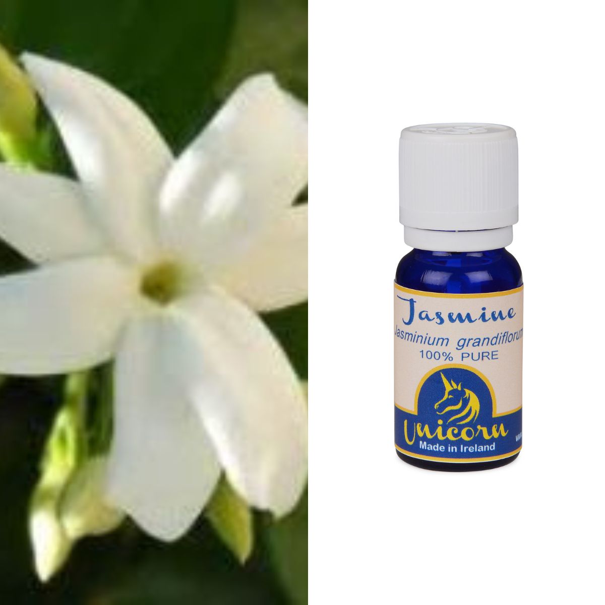 JASMINE OIL-100 GM, Pure jasmine oil