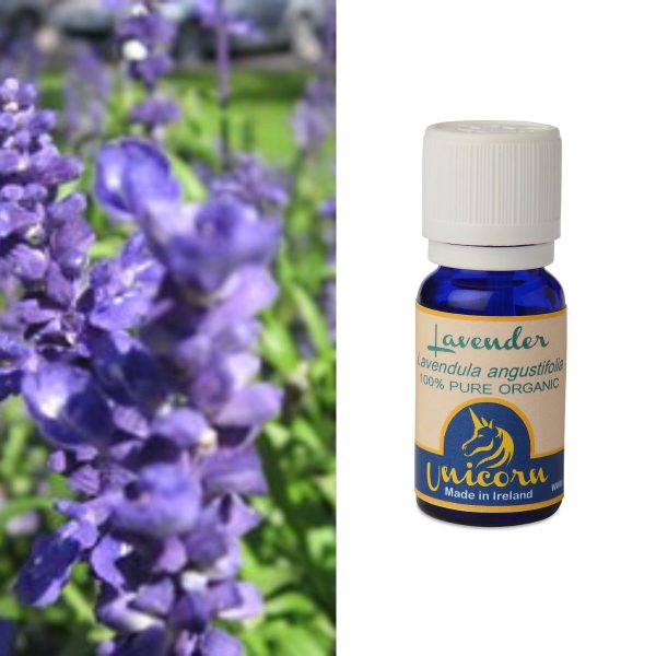 Lavender Organic