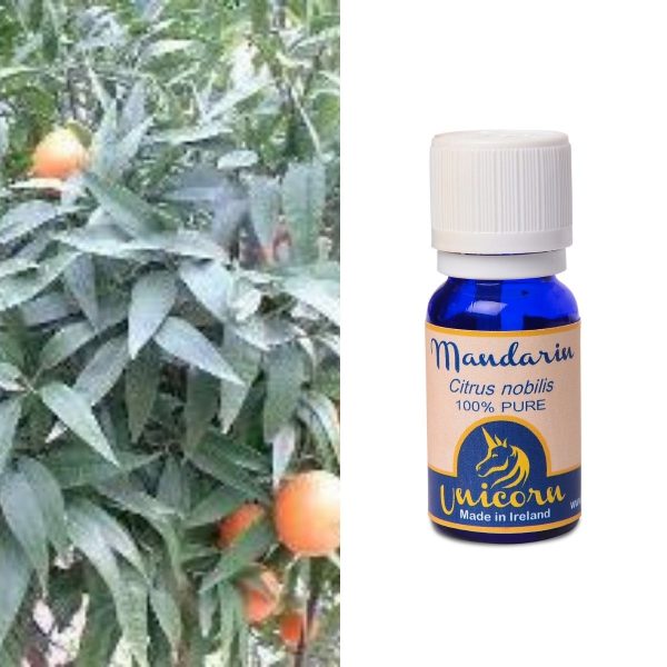 Mandarin