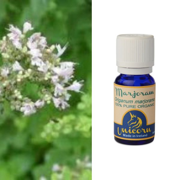 Marjoram Organic