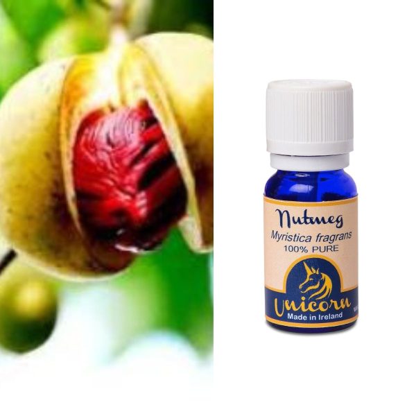 Nutmeg