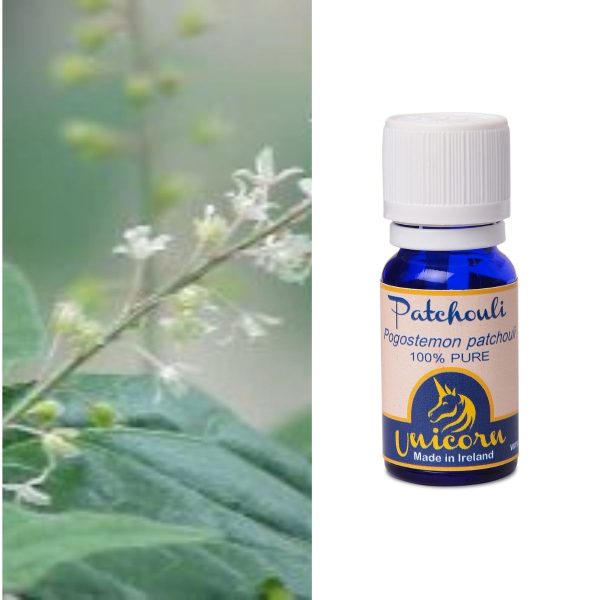 Patchouli