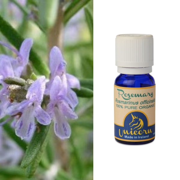 Rosemary Organic