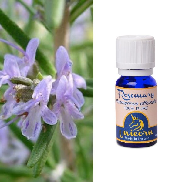 Rosemary