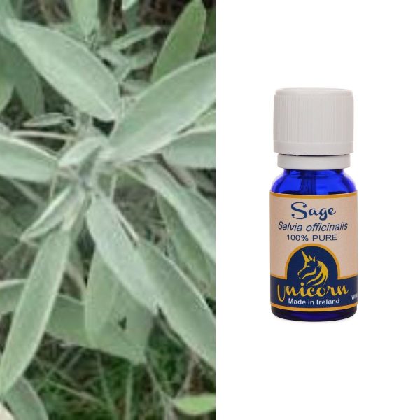 Sage