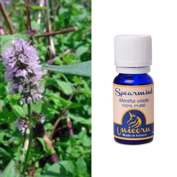 Spearmint