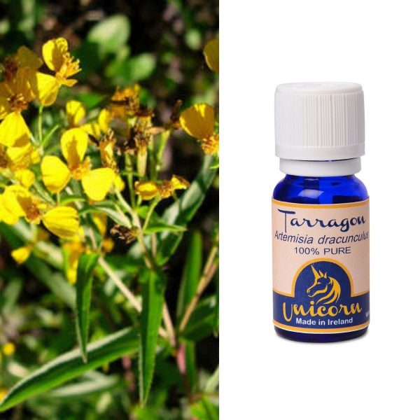 Tarragon