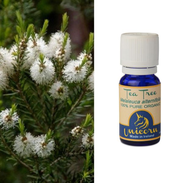 Tea Tree Organic