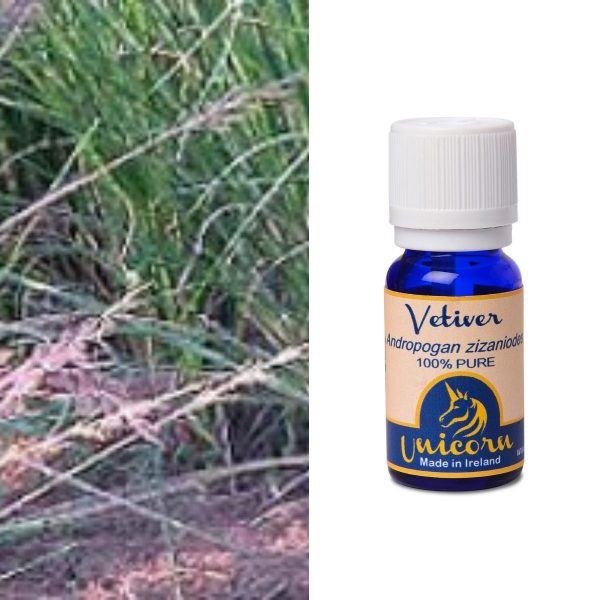 Vetiver